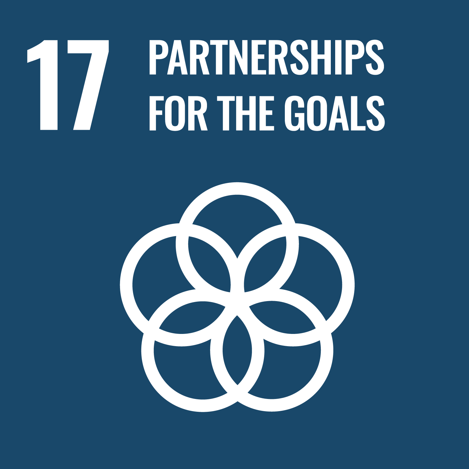 17 PARTNERSHIPS FOR THE GOLAS